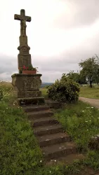 Lothringer Kreuz, Kröppen (© Stefan Thomas, TI Pirmasens-Land)