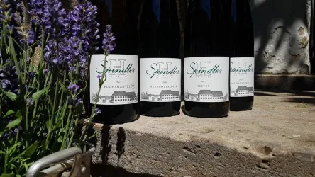 Vier Flaschen Wein stehen auf einem Steinboden, umgeben von lila Lavendel. Die Flaschen tragen Etiketten mit dem Namen "Spindler".