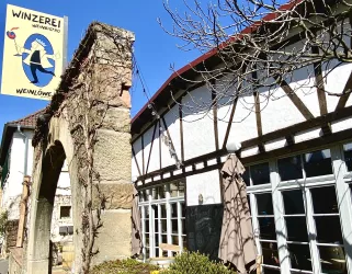 Winzerei Forst 2