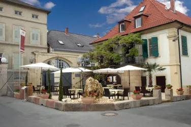 Forster Winzerverein 1