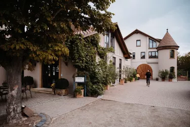 Weingut Lucashof, Forst 2