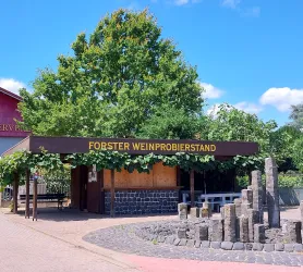 Ein Weinprobierstand mit einem überdachten Bereich und einer grünen Weinrebe. Im Hintergrund sind einige Steine und Bäume sichtbar.