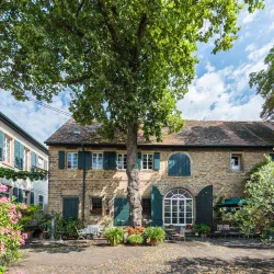 Ein charmantes, historisches Haus mit großen Fenstern und grünen Fensterläden. Der Hof ist mit Blumen und Pflanzen geschmückt und von einem großen Baum beschattet.