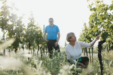 Weingut Georg Mosbacher 2 (© Weingut Georg Mosbacher)