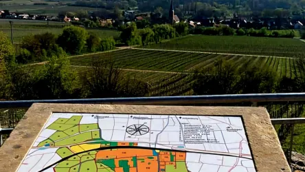 Eine Aussicht auf Weinberge und das umliegende Tal. Im Vordergrund liegt eine Informationskarte mit verschiedenen Farbbereichen.
