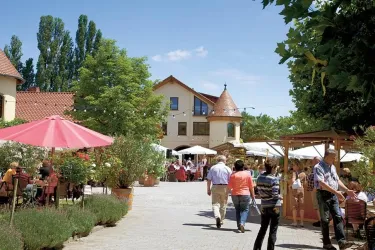 Ein einladendes Café mit Gästen im Freien und bunten Sonnenschirmen. Die Umgebung ist grün und gut beleuchtet, ideal für eine entspannte Zeit im Freien.