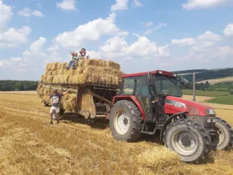 Zum Bauernhof - Traktor (© Archiv Zum Bauernhof)