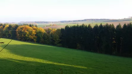 Zum Bauernhof - Sickinger Höhe (© Archiv Zum Bauernhof)