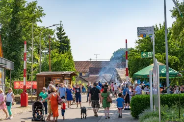 Eine belebte Straße mit vielen Menschen, die sich amüsieren. Es gibt Stände und Essen im Freien, umgeben von Bäumen und Grün.