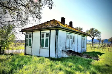 Ein verlassenes, kleines Haus inmitten von grünem Gras und Bäumen. Das Dach ist teilweise beschädigt, und die Fenster sind sichtbar alt.