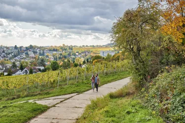 Kneipplehrpfad (© Rheinland-Pfalz Tourismus GmbH)