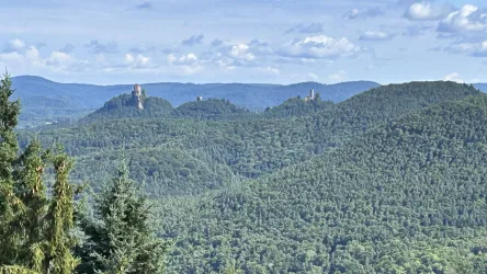 Eine grüne, hügelige Landschaft mit Wäldern und mehreren Burgruinen im Hintergrund. Der Himmel ist blau mit einigen Wolken.