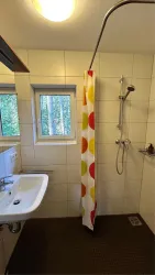 Ein modernes Badezimmer mit einer Dusche und buntem Duschvorhang. Durch das Fenster scheint etwas Tageslicht und es gibt einen Waschbecken.