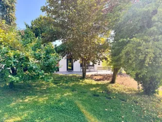 Ein ruhiger Garten mit mehreren Bäumen und grünem Gras. Im Hintergrund ist ein Gebäude mit einer Terrasse sichtbar.