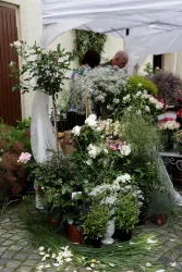 Ein Blumenstand unter einem weißen Pavillon, bedeckt mit bunten Blumen und Pflanzen. Im Hintergrund sind Menschen zu sehen, die die Blumen arrangieren.