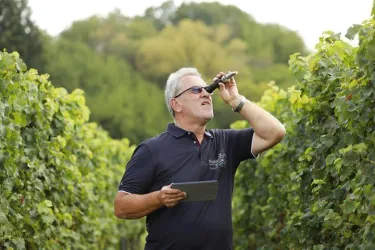 Weingut Knöll und Vogel1 (© Weingut Knöll u. Vogel)