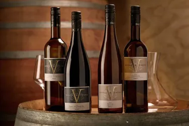 Weingut Knöll und Vogel (© Weingut Knöll und Vogel)