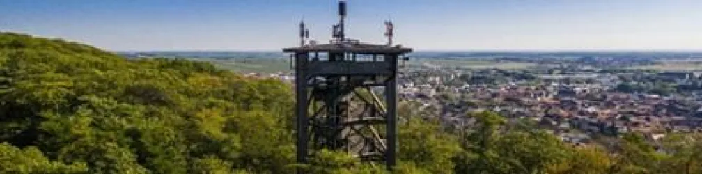 Ein Aussichtsturm auf einem Hügel, umgeben von Bäumen. Im Hintergrund ist eine Stadtlandschaft und ein klarer Himmel zu sehen.