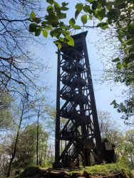 Ein hölzerner Aussichtsturm umgeben von Bäumen. Der Himmel ist blau und klar.