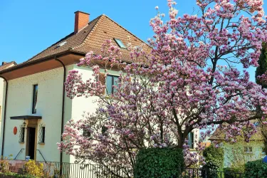 DSC00805
