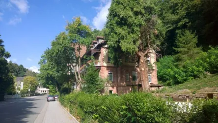 Ein großes, älteres Haus steht am Straßenrand, umgeben von dichten Bäumen und Grünflächen. Die Straße ist ruhig und lädt zu einem Spaziergang ein.