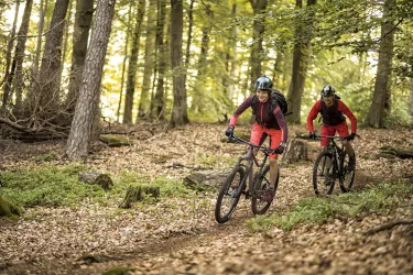 MTB Tour_im Wald (© WOM)