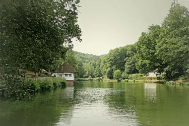Ein ruhiger See umgeben von Bäumen und Hügeln. Im Hintergrund sind einige Gebäude sichtbar, die in die natürliche Landschaft eingebettet sind.