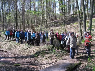 Eine Gruppe von Wanderern steht in einem Wald. Die Bäume sind grün und es gibt frisches Laub auf dem Boden.