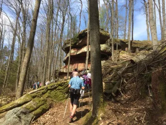 Eine Gruppe von Wanderern auf einem Pfad im Wald, umgeben von Bäumen und Felsen. Im Hintergrund ist eine beeindruckende Felsformation zu sehen.