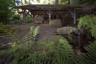 Ein überdachter Bereich im Wald mit großen Steinen und einem kleinen Wasserfluss. Umgeben von Farnen und Bäumen, bietet die Szene eine ruhige, natürliche Atmosphäre.