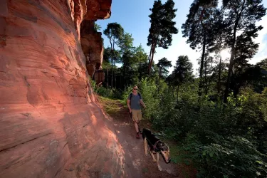 Felsmassif über Heidenfelsen_Landstuhl_2017_klein (© VG Landstuhl, Fotograf Hafner)