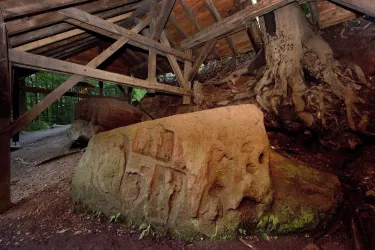 Ein großer Steinsockel mit kunstvollen Schnitzereien ist unter einem Holzdach im Wald zu sehen. Um den Stein wachsen Wurzeln von Bäumen, die die natürliche Umgebung betonen.