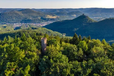 Rehbergturm (© Verein SÜW Annweiler e.V., Fotograf: Dominik Ketz)