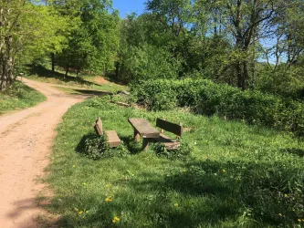 Ein schöner Wanderweg mit einer Bank inmitten von üppigem Grün. Die Umgebung ist ruhig und einladend.