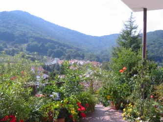 Ausblick Terrasse- (© Ingelore Brück)