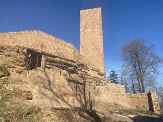 Burgruine Scharfenberg (© Verein Südliche Weinstrasse Annweiler am Trifels)