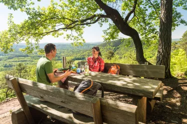Picknickplatz (© Pfalz.Touristik e.V., Foto: Dominik Ketz)