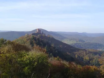 Blick vom Anebos zum Trifels