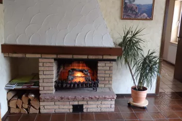 Kamin
