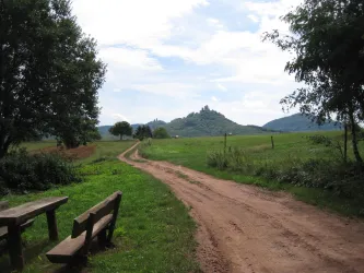Annweiler Dreissig (© Vereini SÜW Annweiler e.V.)