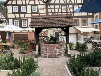 Außenbereich (© Verein SÜW Annweiler e.V.)