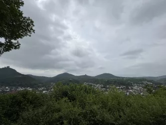 Ausblick Schützenhaus (© Verein SÜW Annweiler e.V.)
