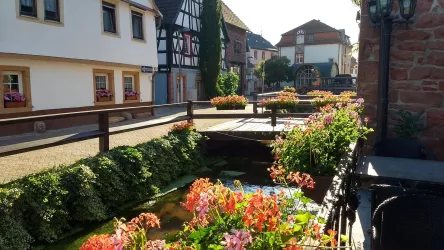Mitten im romantischen Gerberviertel Annweiler