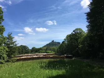 Plateau am Bannenberg (© Verein SÜW Annweiler e.V.)