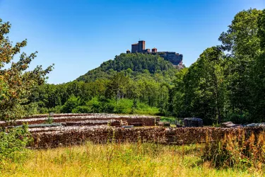 Bannenbergplateau (© Wohlrabe Quadronet, Verein SÜW Annweiler e.V.)