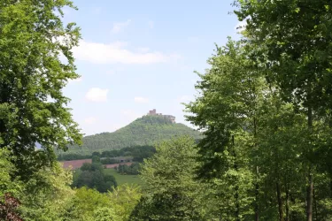 Trifelsruhe Bänke an der Straße (© Verein SÜW Annweiler e.V.)