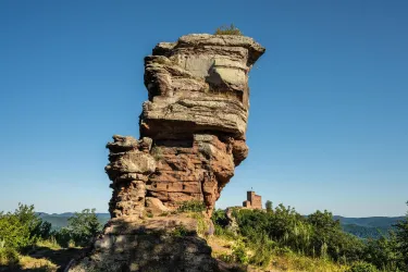 Burgruine Anebos Blick auf Trifels (© Dominik Ketz, Verein SÜW Annweiler e.V.)