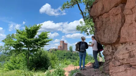Fluch vom Trifels_Ausblick (© Verein Südliche Weinstrasse Annweiler am Trifels e.V.)