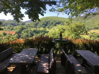 Eine ruhige Aussicht auf grüne Hügel und Bäume. Im Vordergrund stehen Holztische und Bänke unter einem schattigen Baum.