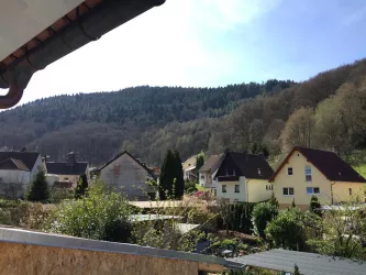 Ausblick vom Haus auf den Rehberg (© Timo Herbold)